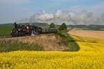 17c372 und 52 100 dampfen Karnabrunn entgegen. Die Aufnahme entstand bei der Rckfahrt om Oldtimer Treffen in Ernstbrunn, am 01.05.2011.