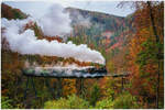 ÖGLB U.I mit Zug nach Lunz auf dem Wetterbachviadukt bei Pfaffenschlag, 26.10.2020