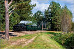 Mh.I mit Fotozug auf der Waldviertler Schmalspurbahn bei Altnagelberg, 10.10.2020