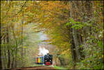 Tief im Wald unterwegs mit der Stainzerbahn .