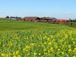 2016 072-8 zieht Rbenzug 59087 durch die herbstlich blhende Landschaft; 121005