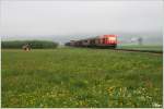 2016 049 rollt mit dem Gterzug 63509 ( Pls - Knittelfeld ) durch das Aichfeld.