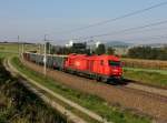 Die 2016 074 mit einem Rübenzug am 06.10.2014 unterwegs bei Haiding.