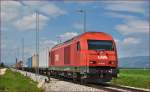 öBB/RCA 2016 082 zieht Containerzug durch Cirkovce-Polje Richtung Hodoš.