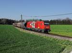 Die 2016 911 mit einem Güterzug am 18.04.2019 unterwegs bei Bichlbauer.