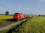 Die 2016 912 mit einem Güterzug am 14.06.2019 unterwegs bei Palmsdorf.