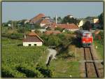 Der Erlebniszug Wachau bespannt am 24.9.2006 mit 2043.24 kurz nach der Ausfahrt aus Unterloiben Richtung Spitz an der Donau