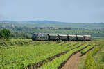 Der mittägliche Reblaus-Express 16972 nach Drosendorf konnte in den Weinbergen bei Retz fotografiert werden.