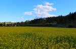 Abraumreserve Deutschlandsberg im blühenden April 2014