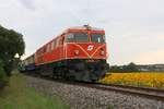 RBAHN 2050.09 mit dem SR 16842 (Rückersdorf-Harmannsdorf - Ernstbrunn) am 02.August 2019 beim Strecken-Km 8,9 der Lokalbahn Korneuburg - Mistelbach.