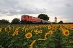 RBAHN 2050.09 mit dem SR 16842 (Rückersdorf-Harmannsdorf - Ernstbrunn) am 02.August 2019 beim Strecken-Km 8,9 der Lokalbahn Korneuburg - Mistelbach.