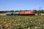 RBAHN 2050.09 am 15.September 2019 mit dem SR 17291 (Groß Schweinbarth - Gänserndorf) zwischen Groß Schweinbarth und Raggendorf.