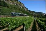 An der Weinbergen in der Wachau vorbei, fhrt 2050.05 mit dem Wachauer Themenzug von Krems an der Donau nach Emmersdorf.