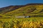 Ein Fest der Farben - die 2050.05 der GEG ist bei Wsendorf-Joching inmitten der Wachauer Weinberge unterwegs.