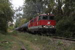 Die 2143 051 donnert mit lautem Motorgeheule am 10.10.2017 mit dem G68218 von Wien Lobau Hafen durch die herbstlichen Donauauen nach Stadlau.