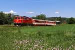 2143.021 der Staudenbahn (SVG) bei Wollmetshofen (01.06.2008)