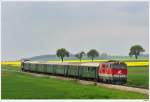 2143.038 mit dem Sonderzug R16131 auf der Rckfahrt von Ernstbrunn via Korneuburg und Tulln nach Wien/FJB; hier kurz vor Naglern, 2.5.2010.