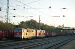 Koid is`, Rbenzeit is`! Am 15.10.2011 kam es zur Verschubfahrt mit den beiden Dieselloks 2143 038 & 2143 073, zwischen dem Rbenplatz Deutsch-Wagram & Bahnhof.