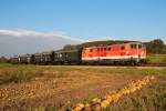 2143 062 ist mit dem NostalgieExpress Leiser Berge durch das herbstliche Weinviertel unterwegs. Mollmannsdorf, am 27.09.2014.