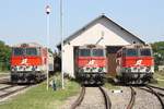 2143er-Parade am 27.August 2016 in Mistelbach LB; von links nach rechts: NLB 2143 038-4, 055-8 und 056-6.