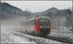 5022 041-5 als R 6528 (Gt - Nb), aufgenommen am 24.12.2012 zwischen Gutenstein und Pernitz.