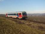 Triebwagen 5047 052-5 auf dem Weg von Horitschon/Neckenmarkt über Sopron in Ungarn nach Wr.Neustadt hier zwischen den Weinbergen des Blaufränkischlandes bei Horitschon und Unterpetersdorf,