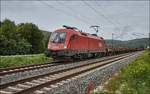 1016 007 der ÖBB ist am 08.09.2017 mit einen leeren Schienenzug bei Gambach unterwegs.