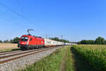 1016 001 mit einem Ekol-KLV am 31.07.2018 bei Niedermünchsdorf.