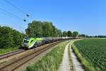 1016 014 mit DGS 44940 am 13.06.2019 bei Langenisarhofen.