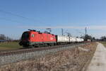 1016 010 mit einem  KLV  aus Salzburg kommend am 28. Februar 2022 bei Übersee am Chiemsee.