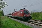 In Schweinhausen zieht 1016 007  Sonny Boy  die Wagen des IC 118  BODENSEE , Innsbruck - Dortmund, in den am 05.05.2023 ein SBB-Wagen der Gattung Apm eingereiht ist