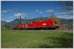 Taurustandem, angefhrt von 1016 021, auf der Semmering Nordrampe am 10.4.2008 kurz vor Eichberg aufgenommen.