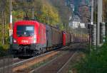 1016 005 mit einem Gterzug zwischen Tullnerbach-Pressbaum und Pressbaum im herbstlichen Wienerwald am 19.10.2008.