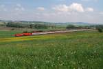 1016 018 und 1116 083 mit OEC 564 bei Schnfeld (11.05.2010)