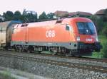 Bitte warten hiess es am 18.08.2006 fr die 1016 004 mit ihrem Gterzug auf dem Ausweichgleis in Wartberg an der Krems.