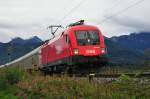 Die 1016 003 der BB mit Fracht in der Bernauer Kurve nahe der gleichnahmigen Ortschaft am 14.09.13