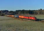 1016 038 + 185 316 mit einem Containerzug am 30.12.2013 bei Bergham.