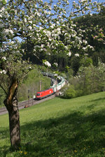 Eine 1016 bringt ihren Leer-GAG am 30.4.16 bei der Apfelwiese am Eichberg talwärts.