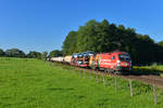 1016 048 mit einem Güterzug am 29.08.2017 bei Vogl.