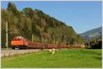 1020.37 der GEG mit dem ber das Ennstal umgeleiteten 90407 (Ersatzleistung fr 48407 Linz-Koper) am 4.10.2010 in Pichl kurz vor Mandling im Ennstal aufgenommen.