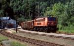 1040 010-9 mit einem Güterzug im Sommer 1995 im Bahnhof Großreifling