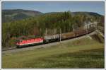 1044 029 mit ihrem Gterzug am 10.4.2008 bei der Talfahrt der Semmering Nordrampe zwischen Eichberg und Kb aufgenommen.