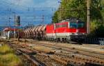 1142 609 und 1x44 mit einem Gterzug Richtung Wien, fotografisch festgehalten bei der Durchfahrt in Korneuburg am 06.10.2008.