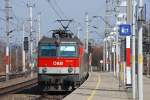 44er-Thementag: Mit OEC 255 nach Maribor durchfhrt 1044 121 am 18.03.2010 den Bahnhof Felixdorf.