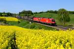 Überraschenderweise verkehrte am 06. Mai 2016 der Autoteilezug von Ingolstadt nach Györ auf der KBS 900. Grund dafür war eine Sperrung der Donautalbahn. Bei Fahlenbach inmitten blühender Rapsfelder gelang diese Aufnahme des Zuges, der an diesem Tag von einem Tauurs-Tandem, bestehend aus 1116.026 und 108, geführt wurde.