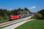1116 043 fährt mit einem umgeleiteten Güterzug bei Grabenstätt in Richtung München, aufgenommen am 9.