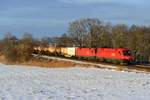 Anfang Januar ist der Winter in Oberbayern eingekehrt.