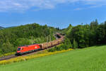 1116 031 mit einem leeren Autozug am 26.08.2017 bei Eichberg.