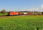 Die 1116 072 der ÖBB mit Hochbordwagen beladen mit Drahtrollen am 30.09.17 bei Hörafing in der Nähe von Teisendorf.