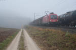 1116 133 mit einem gemischten Güterzug bei Parsberg Richtung Regensburg, 04.11.2016